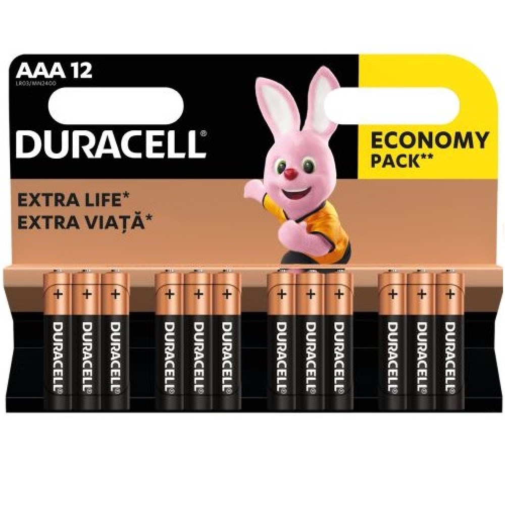 batareyki-aaa-1-5v-alkaline-duracell-basic-12-sht