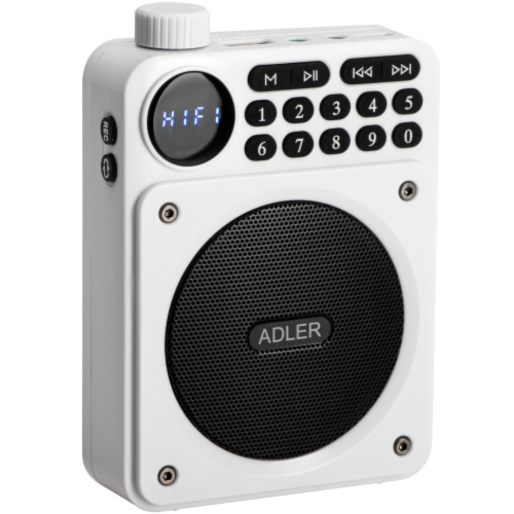 big_ad_1925